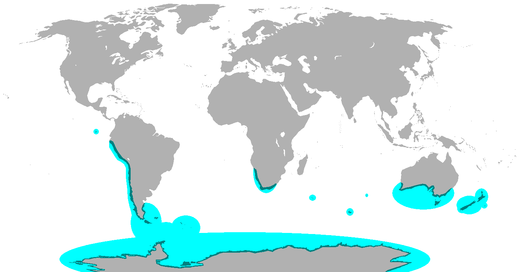 Lin Hsin Hsin Bird Paradize Penguin Habitats Range