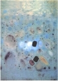 nebulae by Lin Hsin Hsin,digital media pioneer,digital art,first virtual museum in the world, 1994