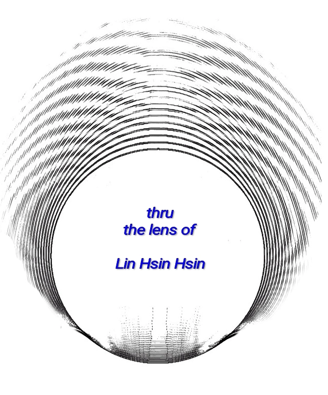 Artist: Lin Hsin Hsin, Title: Through the Lens of Lin Hsin Hsin, Date/Time: 2016-08-28 Medium: digital art, Copyright © 2016. Lin Hsin Hsin. All Rights Reserved. Mobile~tainment®  Frog ® Lin Hsin Hsin Art Museum http://hham.com.sgfirst virtual museum in the world, 1994