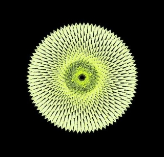 3D Sun flower by Lin Hsin Hsin, Paris, France